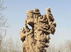 景观石日常护理要注意什么