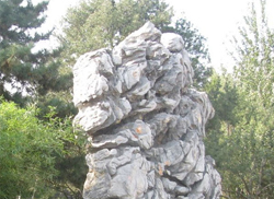 园林石是必不可少的造园要素