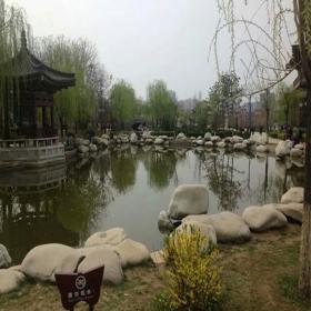 驳岸石