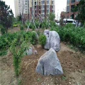 草坪石