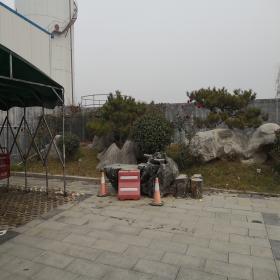草坪石