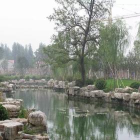 驳岸石