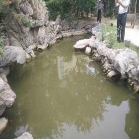 驳岸石