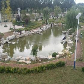 驳岸石