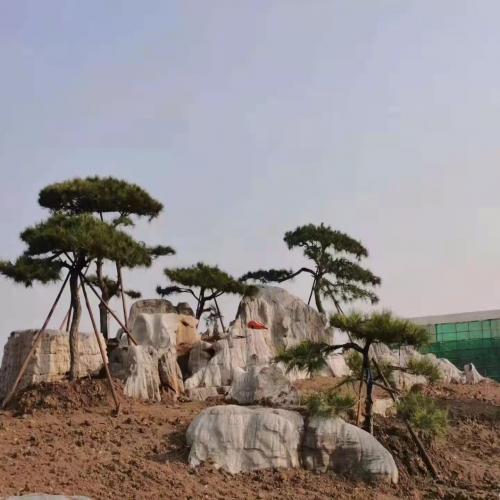 草坪置石