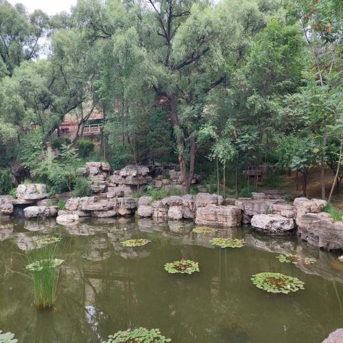 驳岸工程