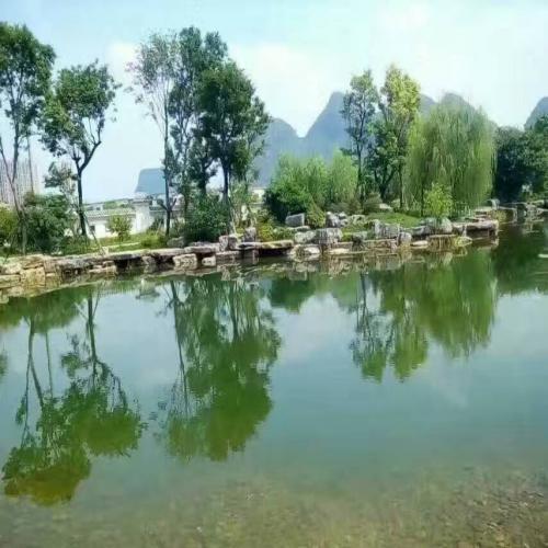 驳岸工程