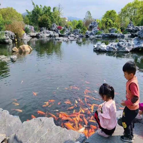 太湖石